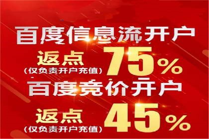 百度竞价排名服务：成功案例解析